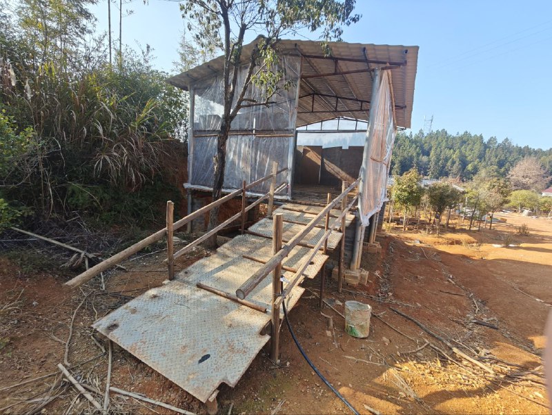 上了三年课没想到学校后面还有这种地方#我的大学上了三年课没想到学校后面还有这种地方#我的大学