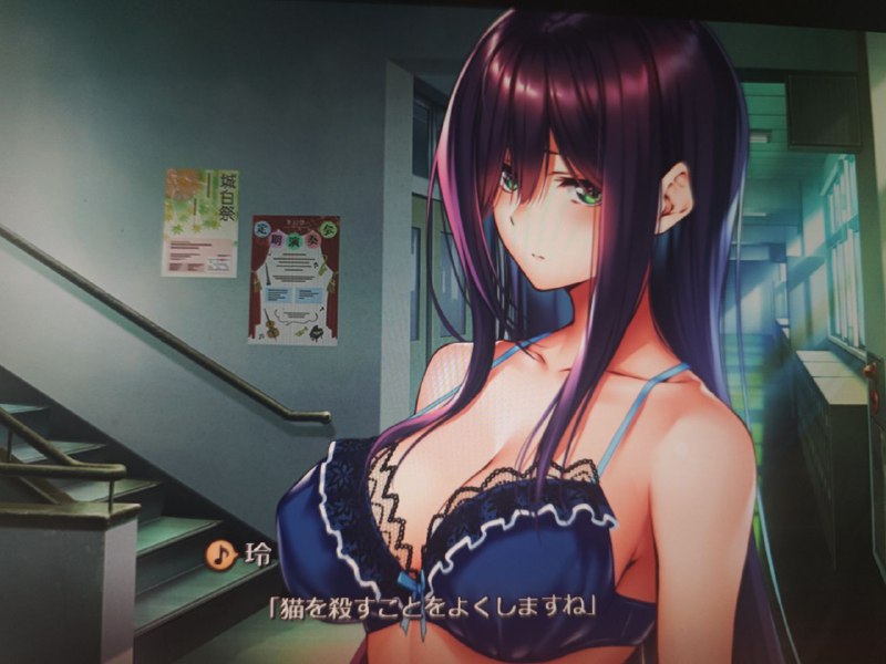 虐猫区你们又赢了😭